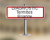 Diagnostic Termite AC Environnement  à Roanne